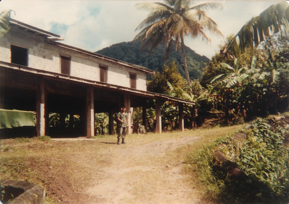 Tropical Paradice